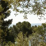 Hoteliere Le Provencal A Giens - Bord De