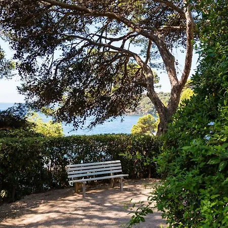 Hoteliere Le Provencal A Giens - Bord De *