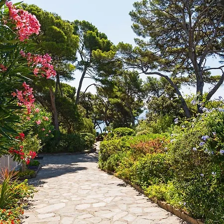 Hoteliere Le Provencal A Giens - Bord De *