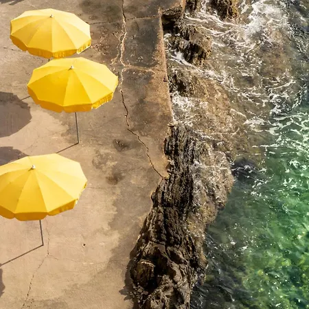 Hotel Hoteliere Le Provencal A Giens - Bord De