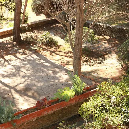 Hotel Hoteliere Le Provencal A Giens - Bord De *