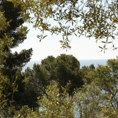 Hoteliere Le Provencal A Giens - Bord De