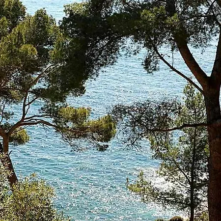 Hotel Hoteliere Le Provencal A Giens - Bord De Hyeres