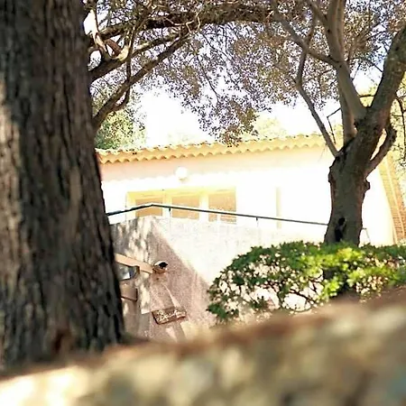 Hoteliere Le Provencal A Giens - Bord De *
