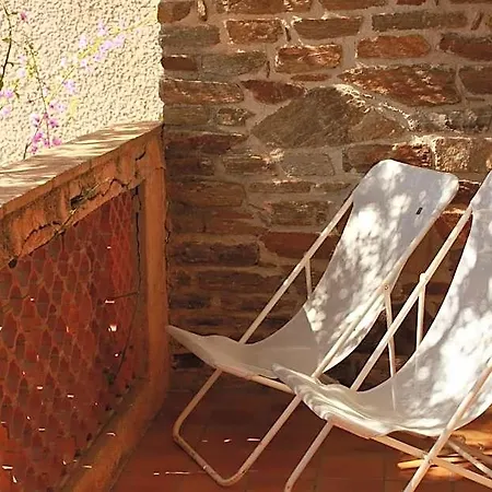 Hotel Hoteliere Le Provencal A Giens - Bord De *