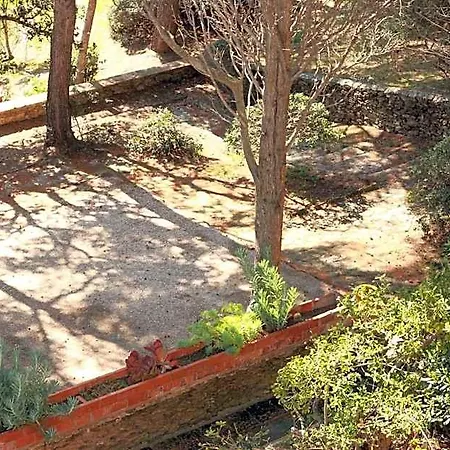 Hoteliere Le Provencal A Giens - Bord De