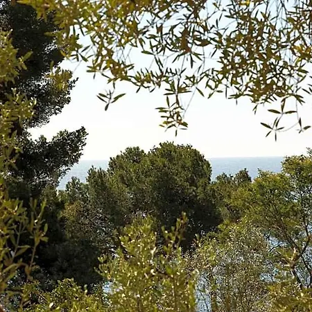 Hoteliere Le Provencal A Giens - Bord De Hotel Hyeres