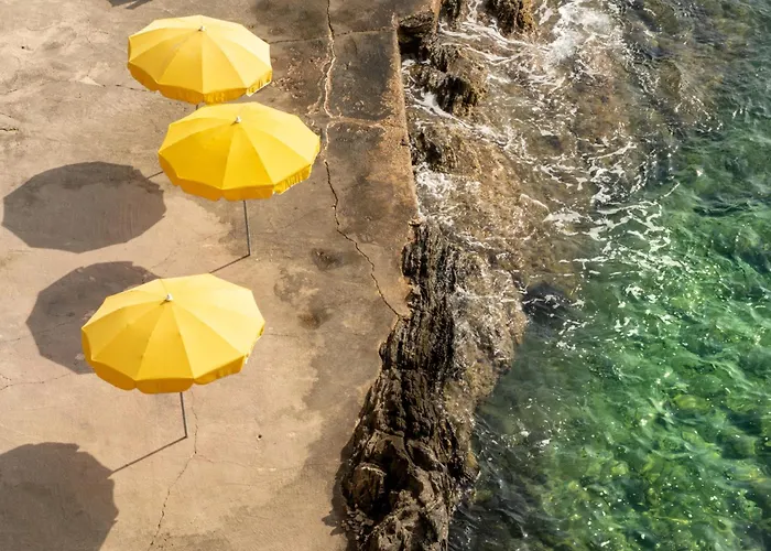 Hotel Hoteliere Le Provencal A Giens - Bord De