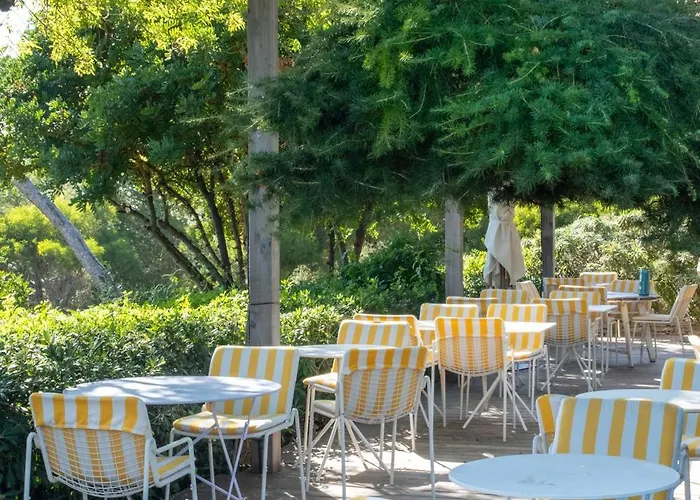 Hoteliere Le Provencal A Giens - Bord De