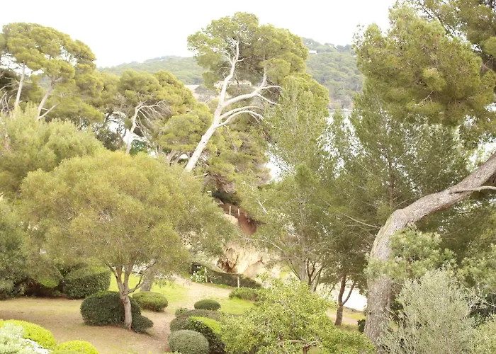 Hotel Hoteliere Le Provencal A Giens - Bord De Hyères