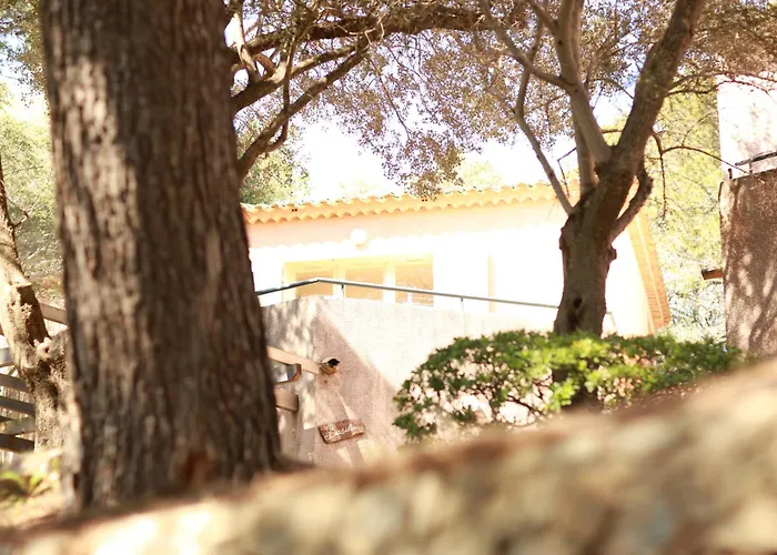 Hoteliere Le Provencal A Giens - Bord De Hotel Hyères