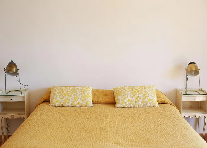 Hoteliere Le Provencal A Giens - Bord De * Hyères