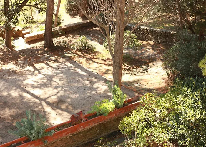 Hotel Hoteliere Le Provencal A Giens - Bord De *