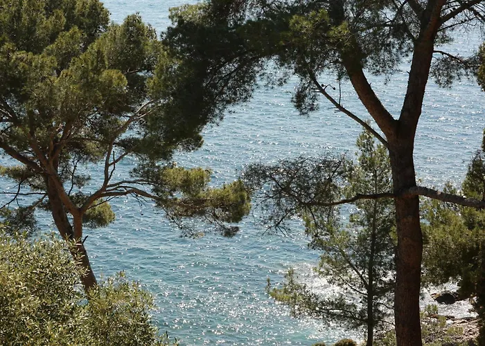 Hoteliere Le Provencal A Giens - Bord De * Hyères