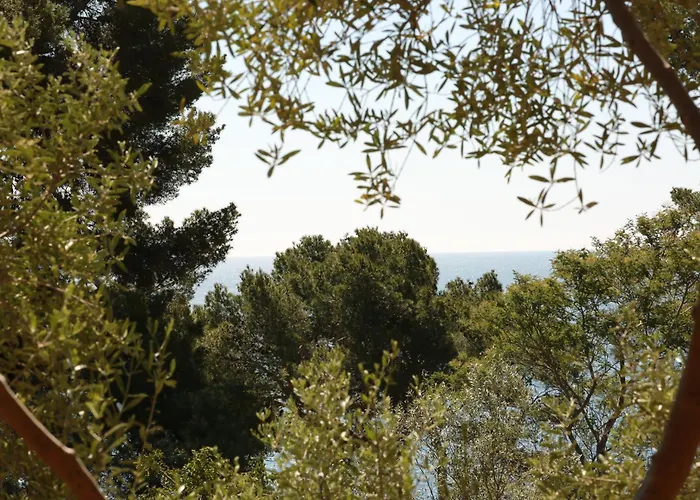 Hoteliere Le Provencal A Giens - Bord De