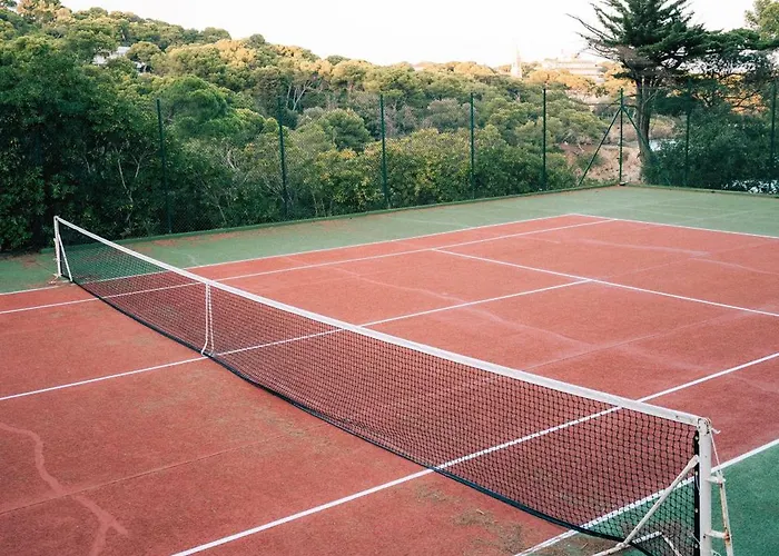 Hotel Hoteliere Le Provencal A Giens - Bord De *